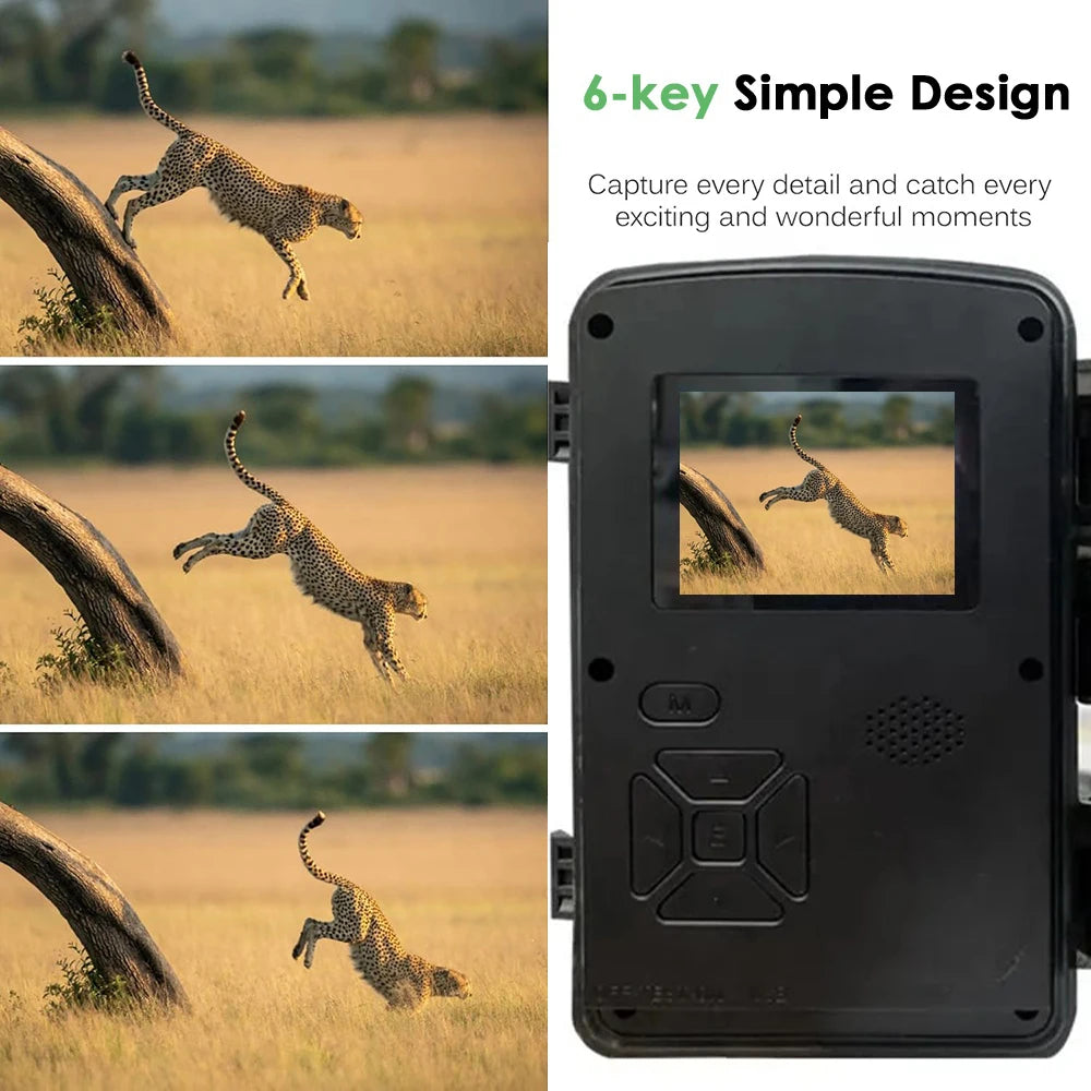 Mini Hunting Camera 940nm Infrared Night Vision Waterproof Trail Camera
