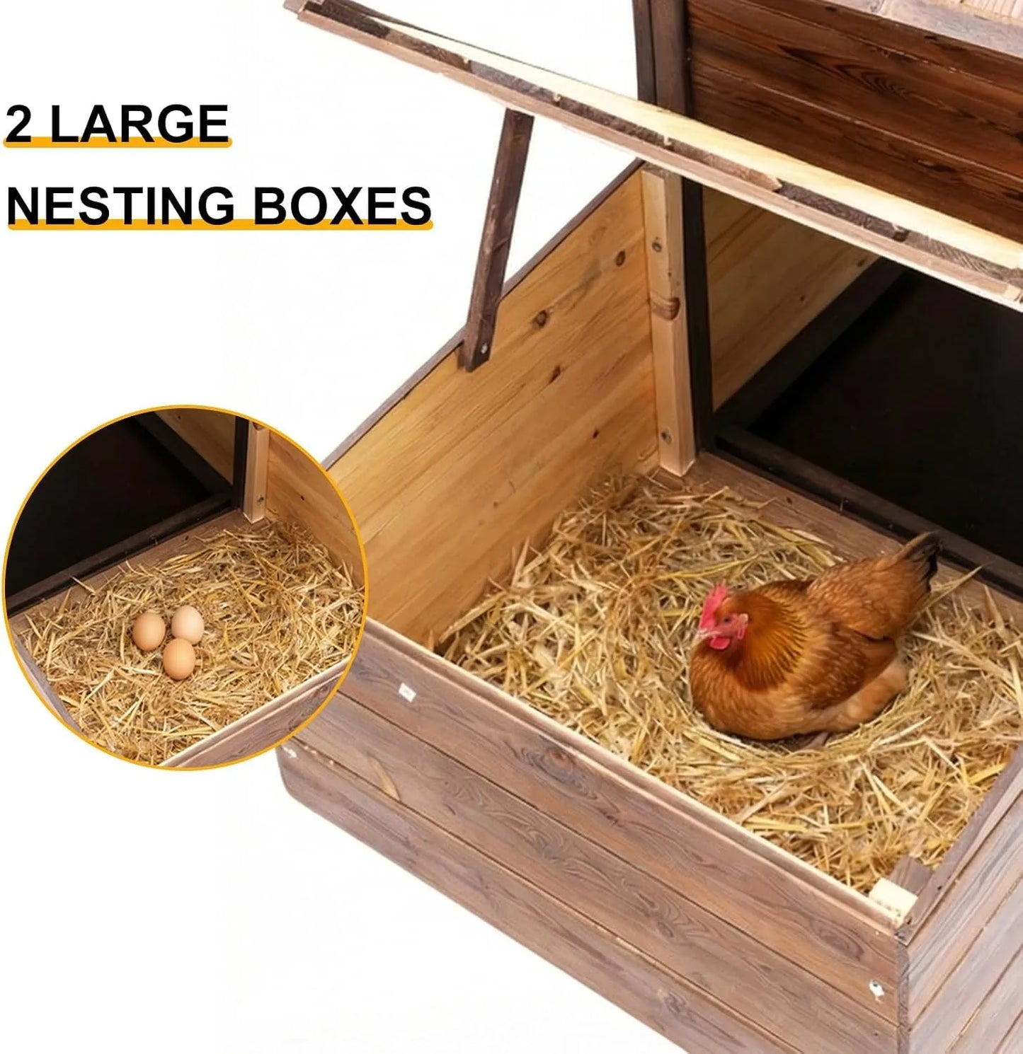 Outdoor Wooden Chicken Coop With Two Nesting Boxes For 2 Chickens