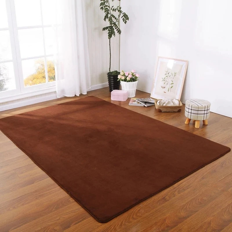 O SHI CAR Thick Coral Velvet Carpet For Living Room