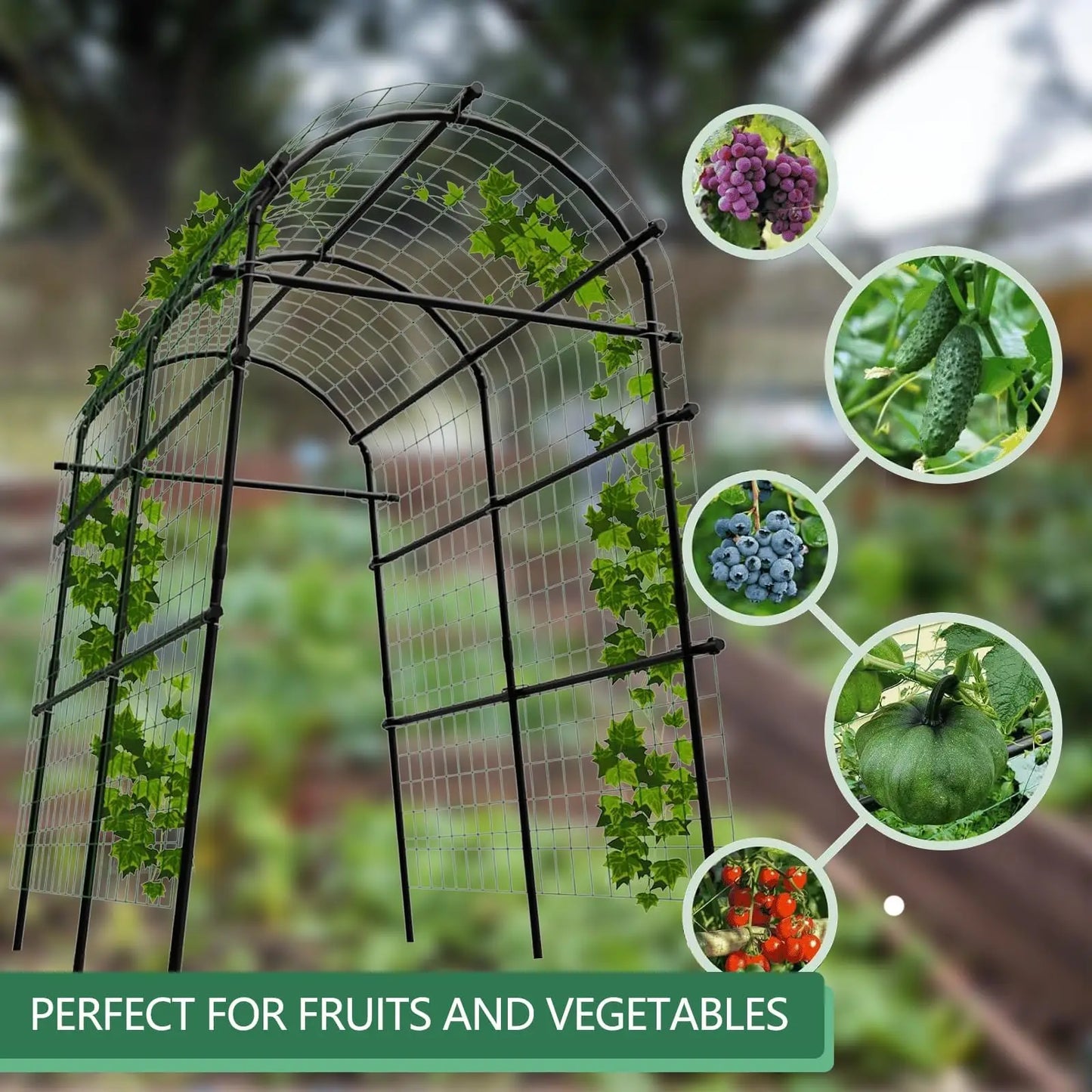 Metal Garden Arch Trellis For Climbing Plants In Raised Beds