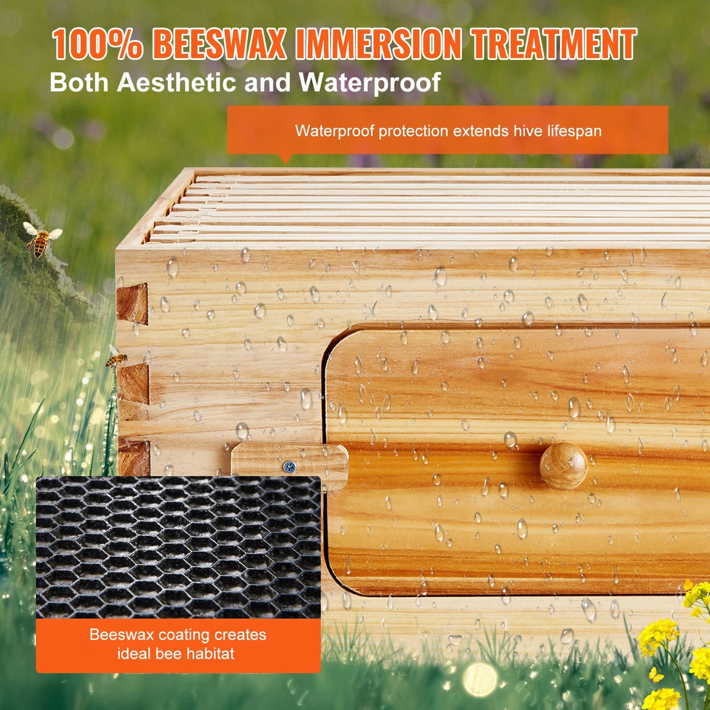 SucceBuy Cedar Langstroth Beehive Starter Kit With Acrylic Windows
