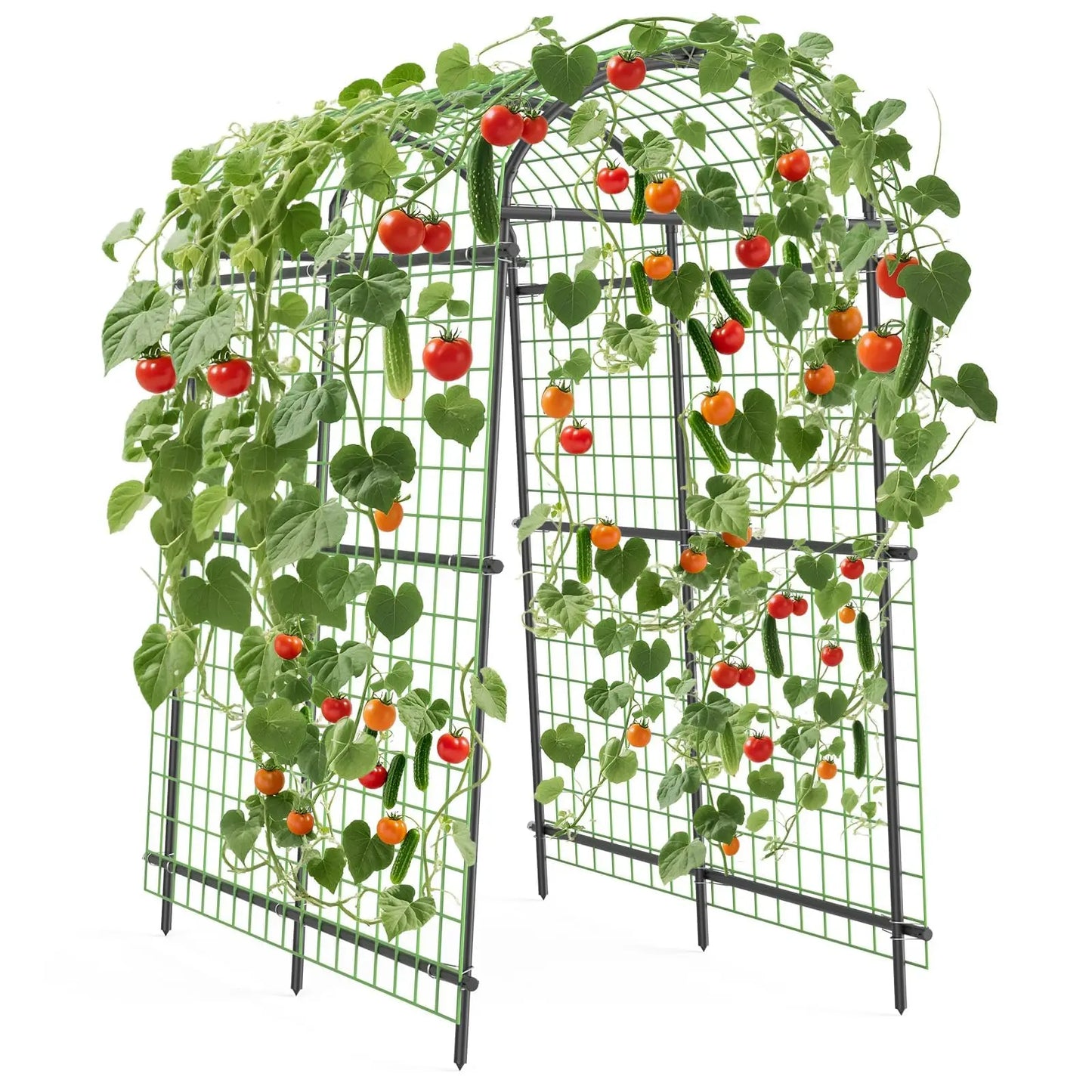 Metal Garden Arch Trellis For Climbing Plants In Raised Beds