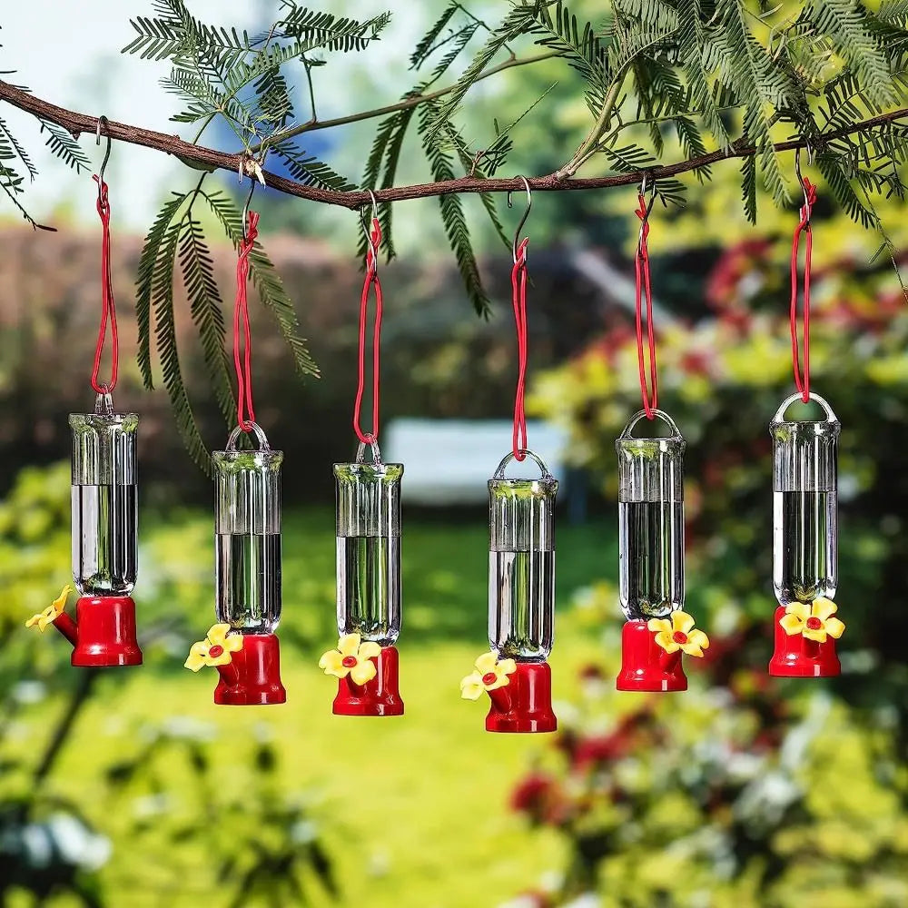 Portable Hummingbird Water Feeder Bottle Clear Plastic