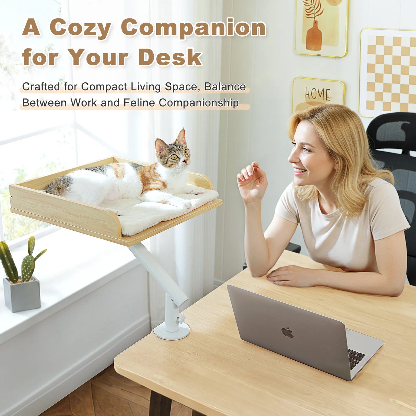 PAWZ Road Cat Desk Bed 360 Degree Rotating Indoor Stand