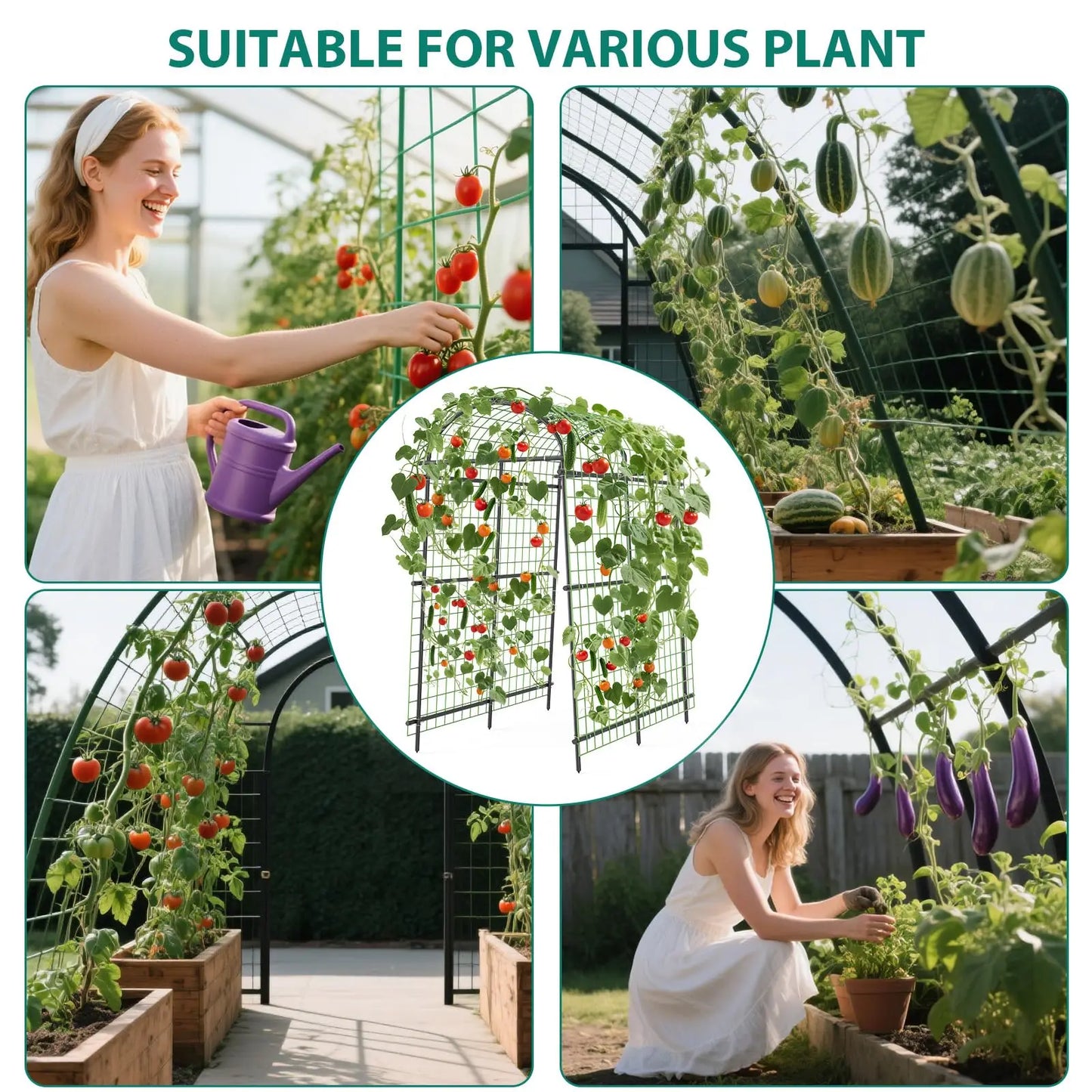 Metal Garden Arch Trellis For Climbing Plants In Raised Beds