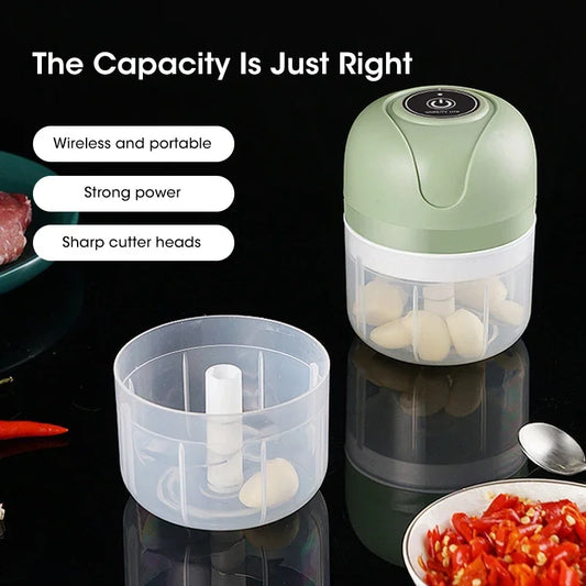Portable Electric Garlic Masher And Meat Grinder Chopper USB Powered