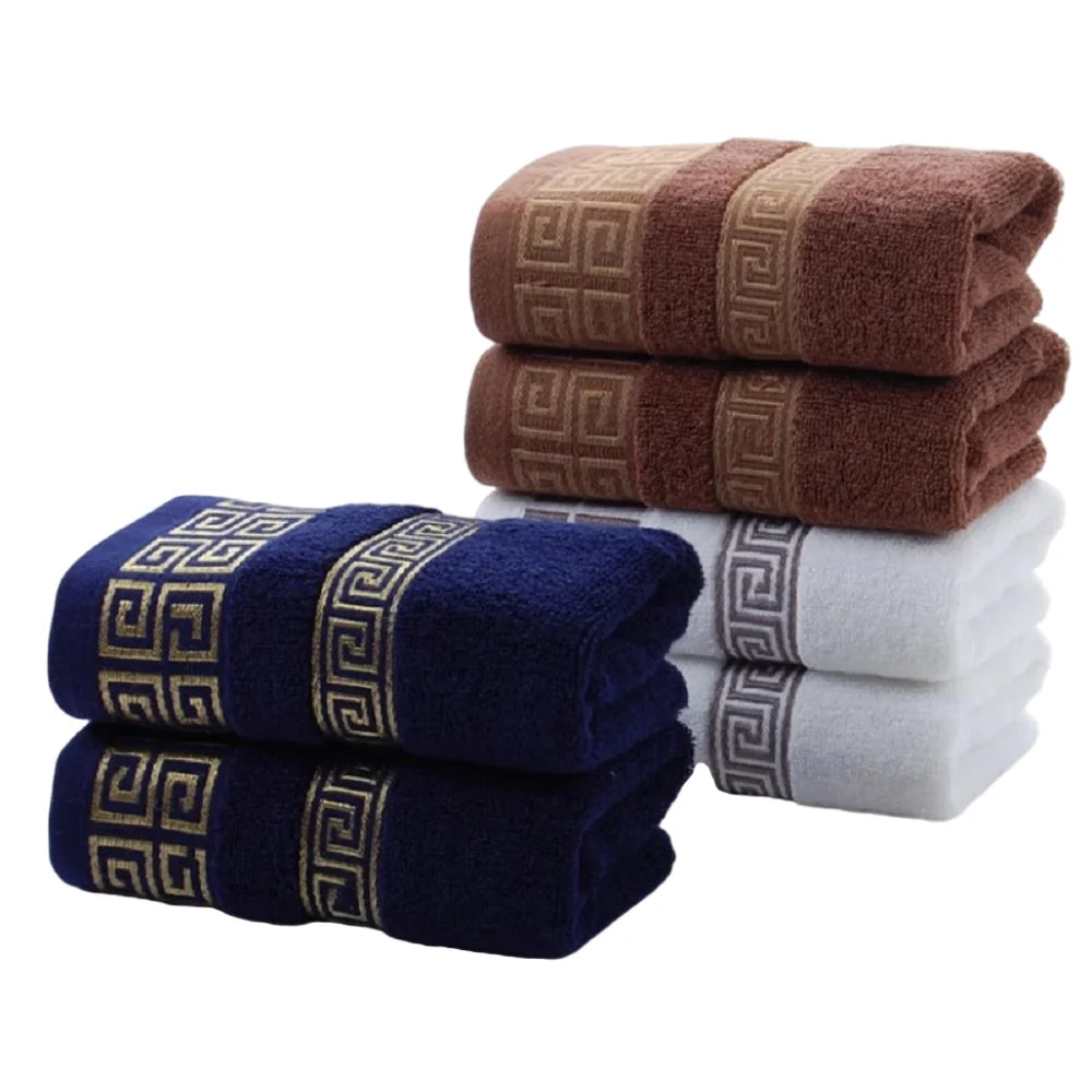 Cotton Towels 2 Pieces Quick Dry Embroidered Hotel Towels