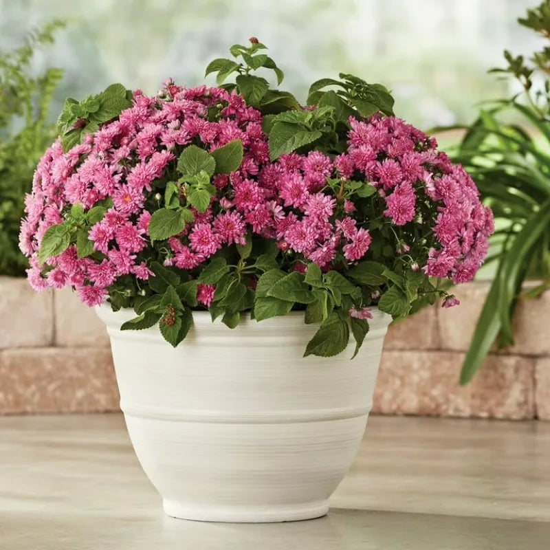Ferenza Recycled Resin Planter for Indoor and Outdoor Use