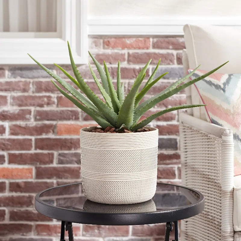Elegant Round Ceramic Plant Planter For Indoor Display