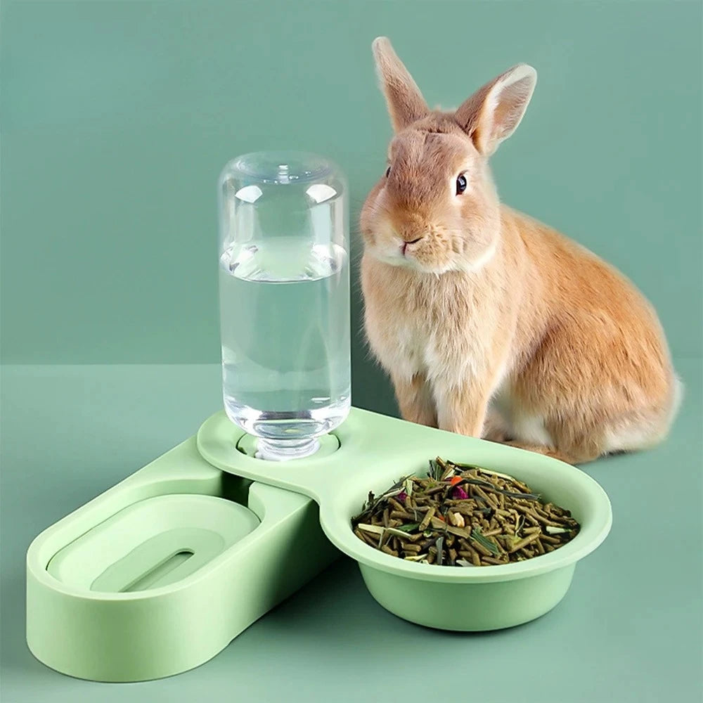 Pet Rabbit Guinea Pig Auto Feeder Food Bowl Drinking Fountain