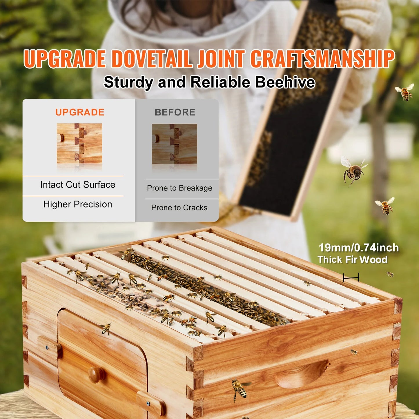 SucceBuy Cedar Langstroth Beehive Starter Kit With Acrylic Windows